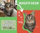 あなたの【我が家猫】似顔絵描きます 愛猫の似顔絵を可愛くイラストにします♪ イメージ3