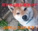 1分から何でもお話しを聞きます どんな内容でも沈黙でも全て受け入れます！ イメージ1