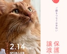 猫instagramの投稿や広告画像制作します ねこに特化！イメージに寄り添い丁寧にデザイン制作いたします！ イメージ7