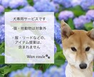 ペット（犬専門）パーソナルカラー診断します 犬パーソナルカラー診断の資格者が愛犬の魅力を色で引き出します イメージ8