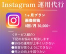 あなたのためにプロがSNS運用代行いたします 集客、売上に貢献！丸投げ運用いたします！ イメージ1