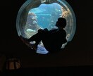 恋愛の悩みでモヤモヤ！心を整えるお手伝いをします 〜タロット×オラクルで読み解く“あの人の本音と2人の未来”〜 イメージ1