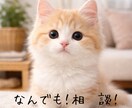 なんでもお話聞きます いろいろな経験をもとに、お話聞きます！ イメージ1