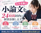 大学受験の小論文を24時間以内に個別添削します 元高校国語科教諭が、伝わる書き方を丁寧にサポート イメージ1