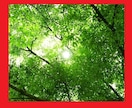悩み過ぎて辛い・・・ 全て受けとめます 誰かと話したい、愚痴を聞いて欲しい。何でもＯＫです。 イメージ1