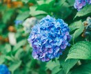 先着10名様値下げ！写真をエモ写真にレタッチします 作例を見て下さい写真はそれぞれbefore→afterです イメージ2