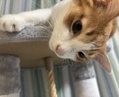 相談•愚痴書きお聞きします あなたの悩み•モヤモヤ解決させてください！ イメージ5
