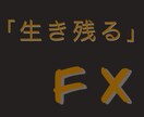 FXの生き残る投資法教えます 元専業投資家が初心者、専業目指している人向け イメージ1