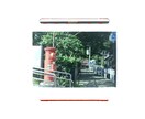 ネガフィルムのデータ化します 【高画素】ネガフィルムのデータ化承ります！（35mm） イメージ1