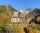SNS投稿・お知らせ画像を整えます 文字バランスと余白で、伝わる投稿に イメージ3