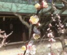新着☆囁き「コンシェルジュ」が閃きをつぶやきます 。♫レンな〜らどうするぅ〜♫でお楽しみください＼(^o イメージ8