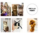 愛猫・愛犬のメモリアル羊毛フェルトを作ります 温もりを形に。いつでも一緒、本物の毛も使えるうちの子人形。 イメージ3