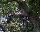 あなたにいま必要なメッセージをお伝えします 宇宙とつながりメッセージをもらいます。 イメージ2