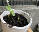 とにかく聞いて欲しい方達へのサービスになります 他人から見れば些細な悩みでも本人は死ぬほど悩み考える。 イメージ4