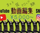 Youtube用の動画編集の代行を承ります 動画撮れるけど編集する時間が無い！面倒臭い！そんな方は是非！ イメージ1