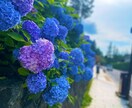心が軽くなるお手伝い致します 生きるという事。心の声を言葉にして伝えて下さい。 イメージ2