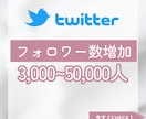 Twitterフォロワー3,000人増やします 減少保証あり◎X（旧Twitter)宣伝 イメージ1