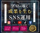 SNS(Instagram、X)の運用代行します Youtube、Tiktok、Facebookにも対応可能 イメージ1