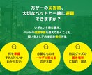 いざという時どこへ向かえばいいのか調べます 家族とペットを守る「地域別避難先リスト作成」サービス イメージ3