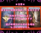 チャット占い★人に言えないお仕事の悩み鑑定します 時間内質問無制限★お仕事のお悩み※一切偏見なく※鑑定します！ イメージ6