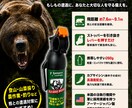 どんなチラシも作成します あなたのイメージに合わせたチラシを作成します。 イメージ1