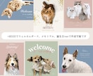うちの子ペットのイラストをお描きしパネルにします オプションで複数匹も♪犬・猫・小動物も！母の日にもおすすめ♪ イメージ10
