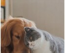 あなた気持ちに寄り添います 素敵なあなたが自分の本音に、そっと気づくためのお手伝い イメージ1