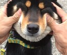 とにかく話を聞いて欲しい方！何でも話聞きます 仕事、恋愛、人生相談、転職、愚痴etc イメージ2