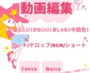 ショート動画からYouTubeの編集承ります 中間色を意識した優しい雰囲気の動画作成 イメージ1