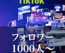 TikTokフォロワー1000人〜増やします TikTokフォロワーを1000人〜増やします。 イメージ1