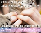 虹の橋を渡ったペット "想い出動画" つくります 「ありがとう。」　心に寄り添うナレーション。 イメージ5