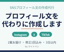 SNSプロフィール文を魅力的に作成します Instagram・Xのプロフ文を代わりに作ります イメージ1