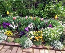あなたのガーデニングライフをサポートいたします お花や植物の名前を覚える技術、園芸愛好家のための記憶術 イメージ1