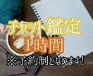 60分間！質問無制限！とことん鑑定します あなたの為に60分間チャット方式鑑定！ イメージ1