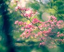 １分～お気軽に★ご希望があればオラクルで癒やします 不安・悩み・愚痴なんでもお聴きします‪★癒しのお時間にどうぞ イメージ6