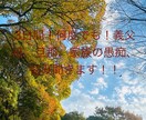 3日間じっくりお話し聞きます 義母、旦那の愚痴、モラハラ等お話しください。 イメージ1