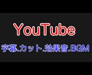 YouTube動画に字幕等お付けいたします 丁寧に細かく漏れのない動画お作り致します。 イメージ1