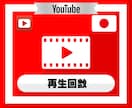 YouTube動画の再生回数を1000回増やします YouTube｜ユーチューブ｜日本エリア｜拡散｜宣伝｜シェア イメージ2