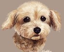 飾れる似顔絵アート描きます 【写真1枚でOK】大切な家族（ペット）のリアルタッチイラスト イメージ4