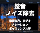 無料お試し有★音声ファイルのノイズ除去・整音します 宅録もok！音声ファイルの整音・ノイズ除去など対応いたします イメージ1