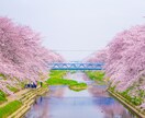 報われない介護　本音ダダもれ、聞きます ●家族が非協力的●なんで私だけ●手続きが面倒●割に合わない イメージ9