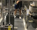 あなたに合うダイエットのサポート行います 1人1人にあったトレーニング、食事メニューの作成を行います。 イメージ2