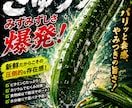 青果店専門売れるPOPを作ります 青果歴３０年売れるPOPを制作します。 イメージ5