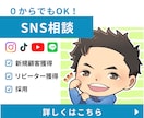 あなたのビジネスに最適なSNSの活用法を解説します どのSNSを活用してどう運用していくべきかをアドバイスします イメージ1