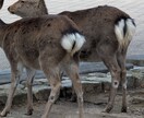 なんでもお話聴きます 1人で悩まず色んな事話してください。 イメージ8