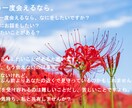 死別の話を聴きます 大学でその道の研究をしていました イメージ1