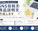 SNS投稿文・商品説明文を作成します 売りたい内容を伝わる文章に整えます イメージ1