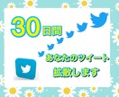 毎日のTwitterのツイートを30日間拡散します SNSマーケティング会社の拡散サービスでよりアクティブに♡ イメージ2