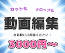 YouTube動画編集格安で承ります どんなジャンルでも丁寧に取り組ませて頂きます。 イメージ1