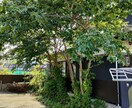 会社員が副業庭師として独立するまでを教えます 週末のみでも庭師として独立するまでの実録を語ります イメージ5